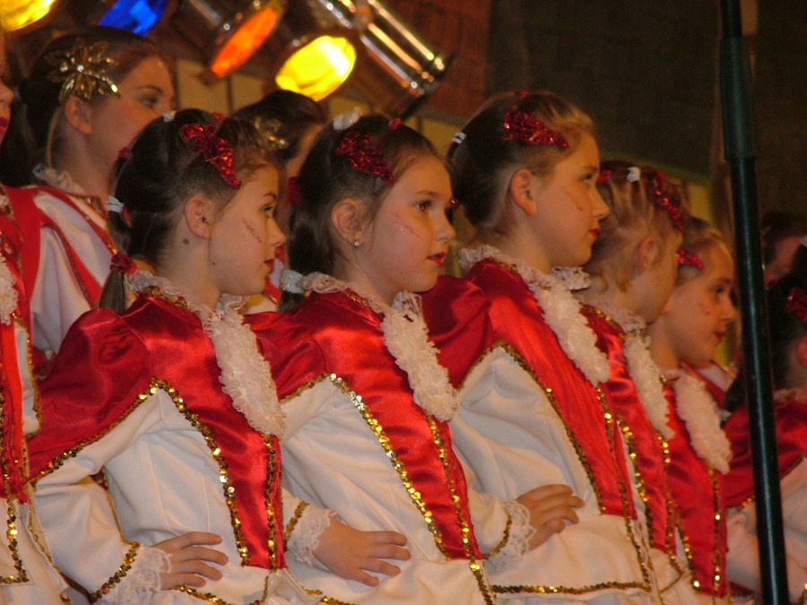 Foto Prunksitzung 2005