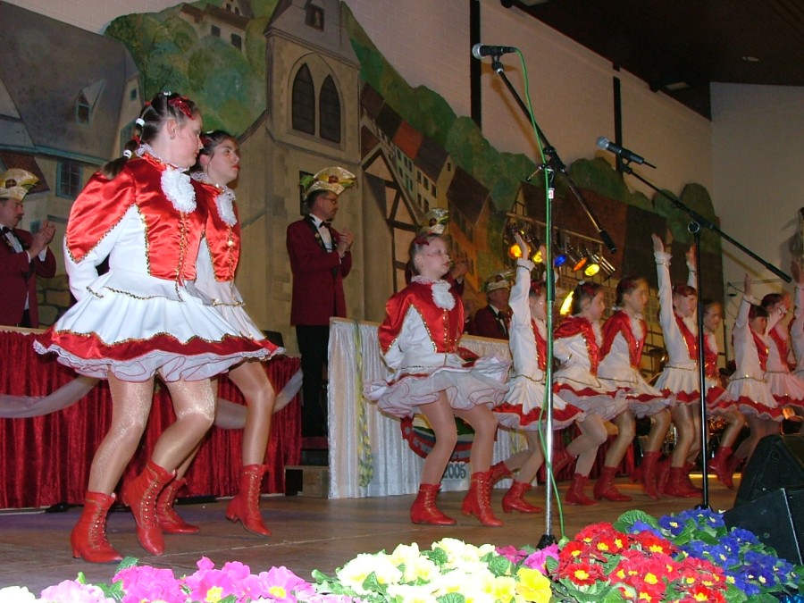 Foto Prunksitzung 2005