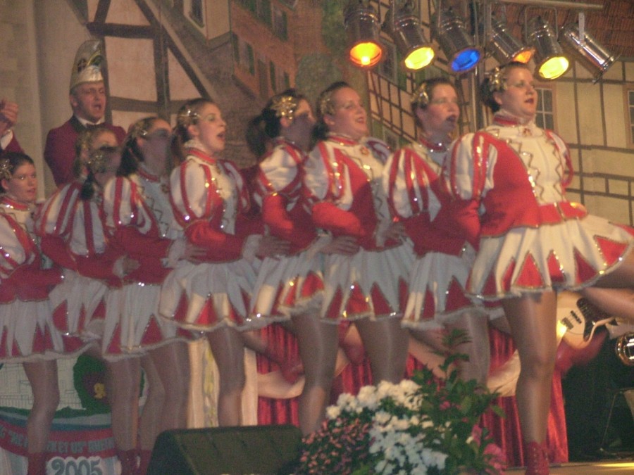 Foto Prunksitzung 2005