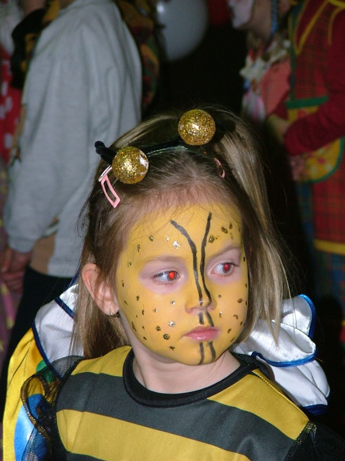 Foto Kindersitzung 2005