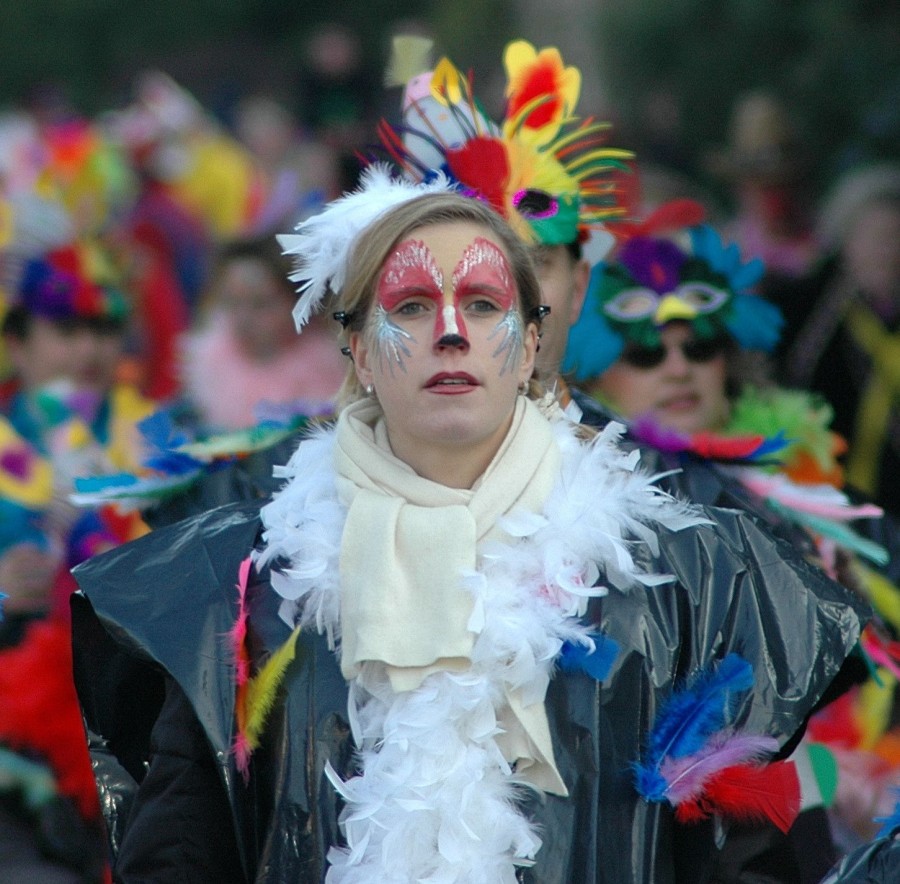 Foto Karnevalszug 2005