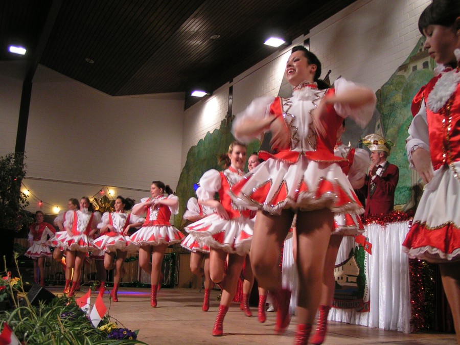 Foto Prunksitzung 2007