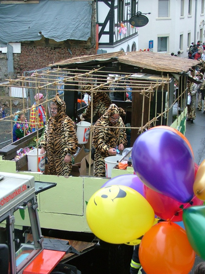 Foto Karnevalszug 2009