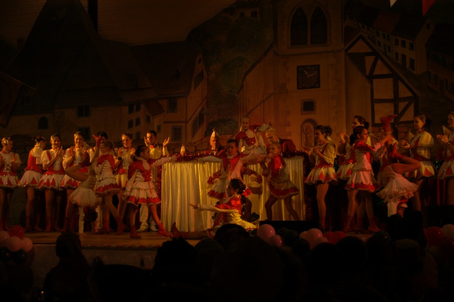 Foto Prunksitzung 2010