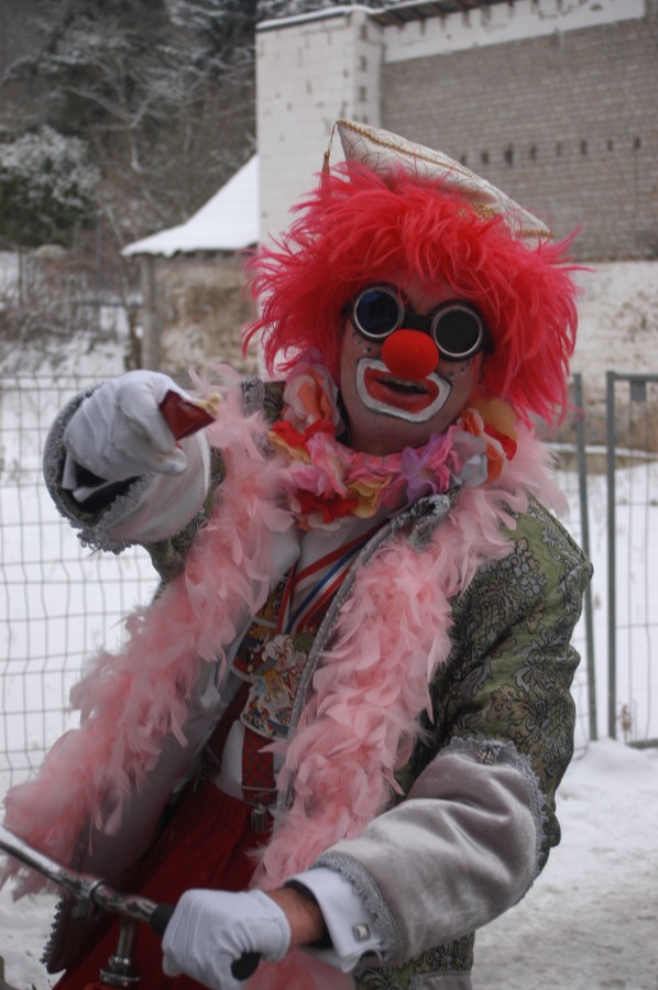 Foto Karnevalszug 2010