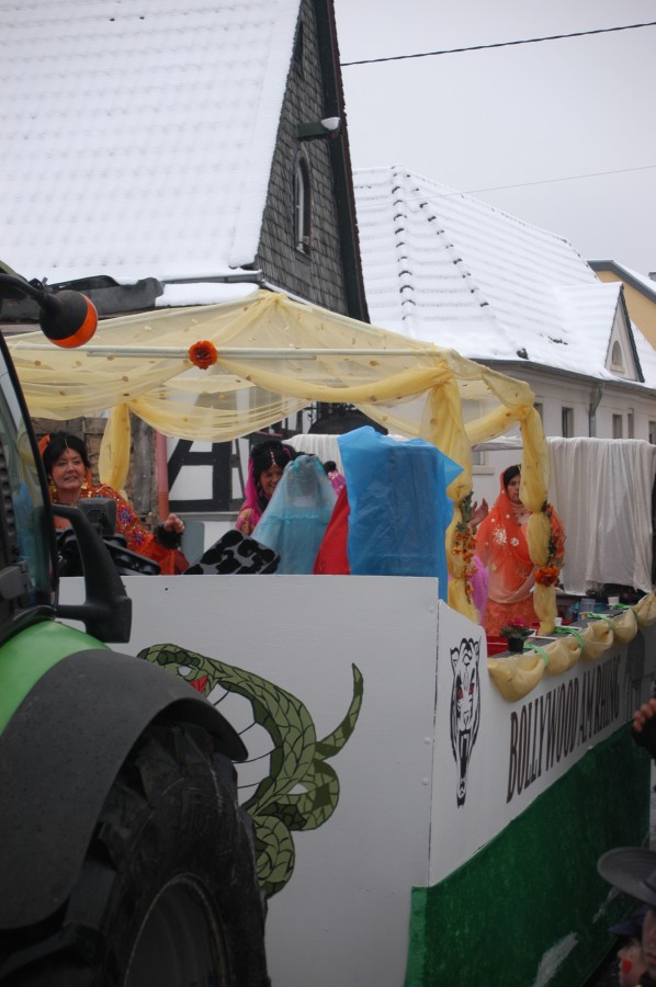 Foto Karnevalszug 2010