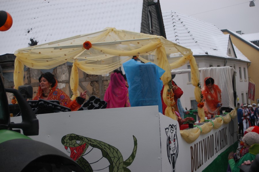 Foto Karnevalszug 2010