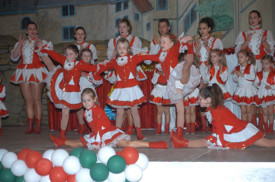 Foto Seniorenkarneval 2011