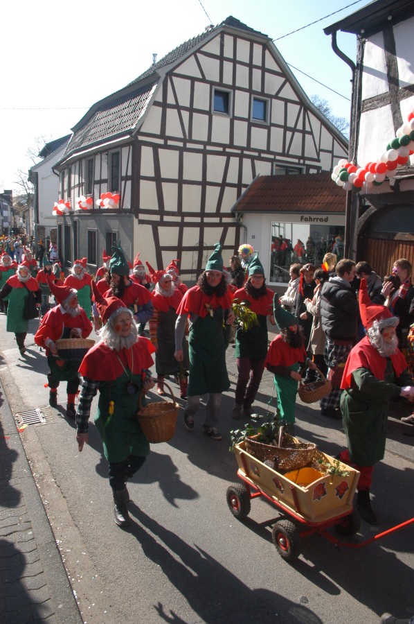 Foto Karnevalszug 2011