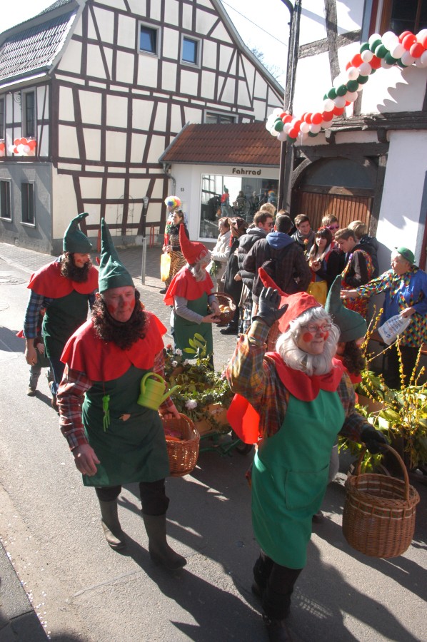 Foto Karnevalszug 2011