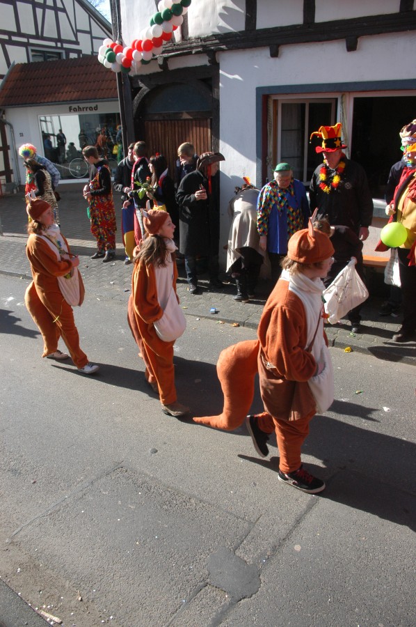 Foto Karnevalszug 2011
