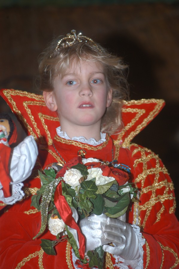 Foto Seniorenkarneval 2012