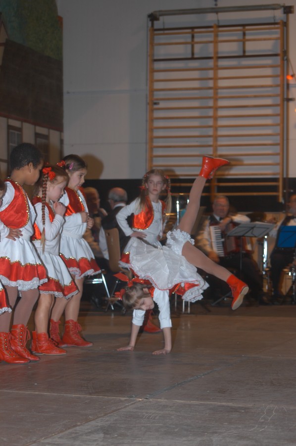 Foto Seniorenkarneval 2012