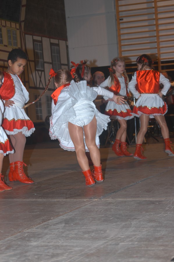 Foto Seniorenkarneval 2012