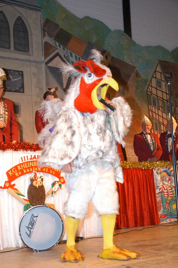 Foto Prunksitzung 2013