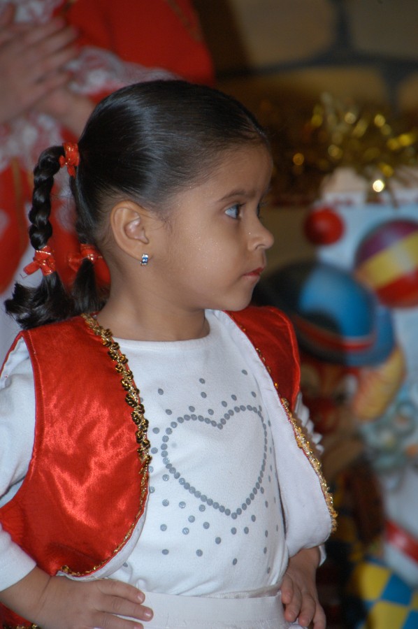 Foto Seniorenkarneval 2013
