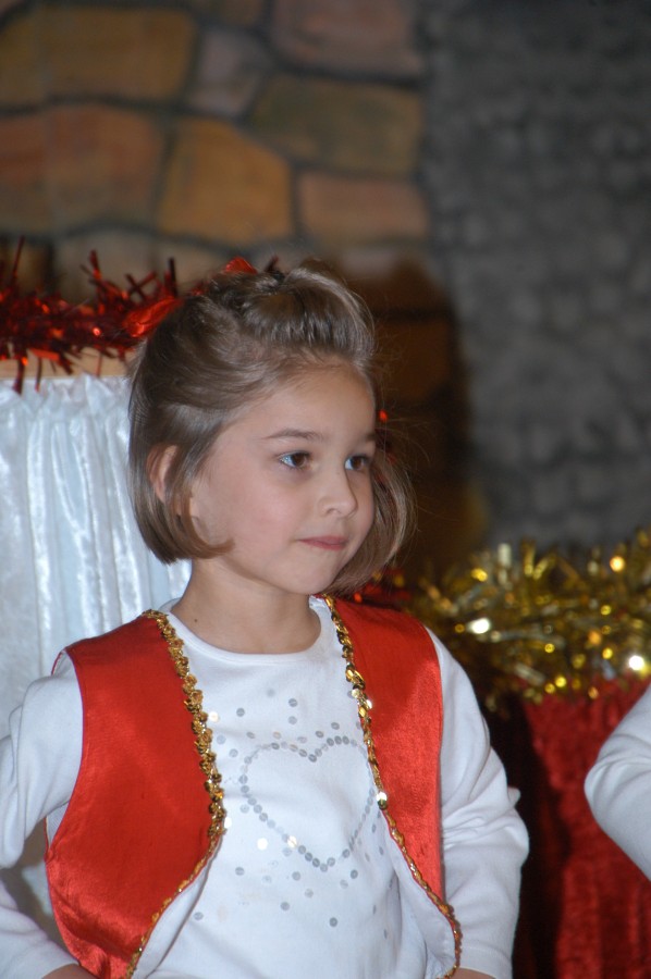 Foto Seniorenkarneval 2013