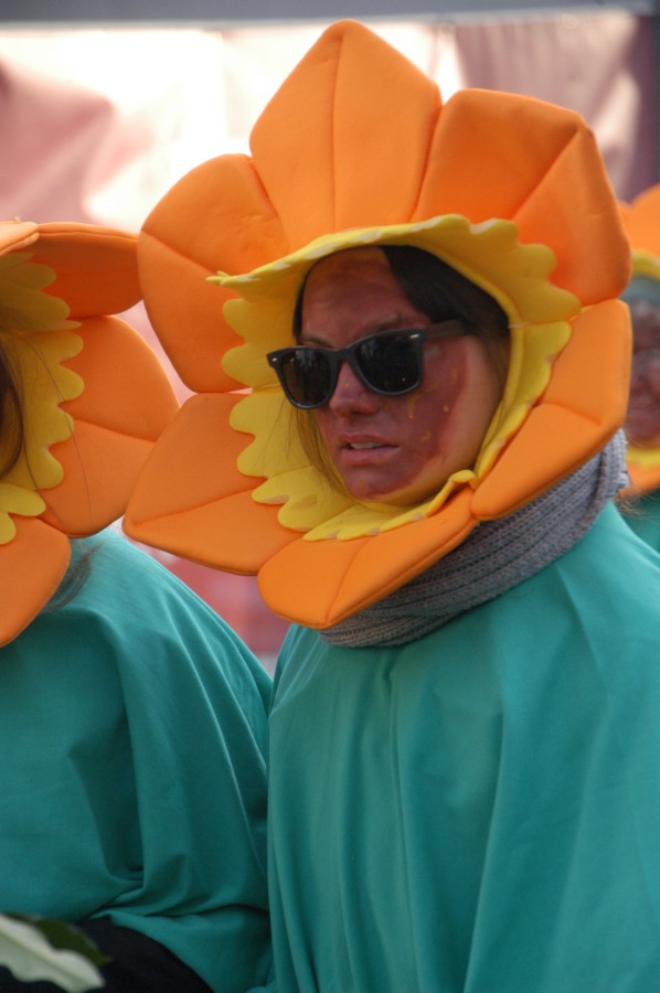 Foto Karnevalszug 2013