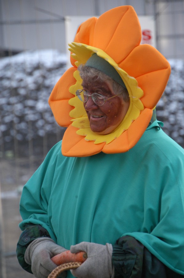 Foto Karnevalszug 2013