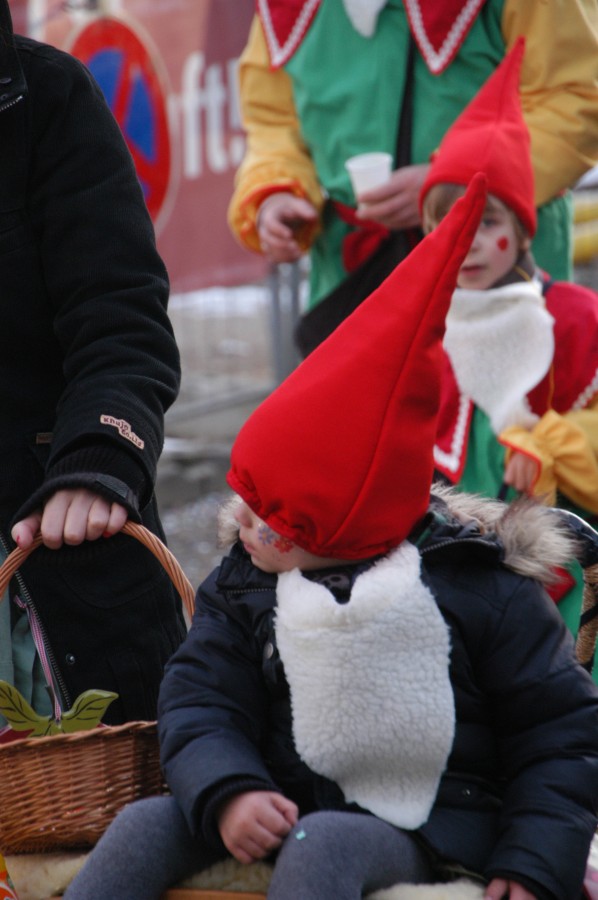 Foto Karnevalszug 2013