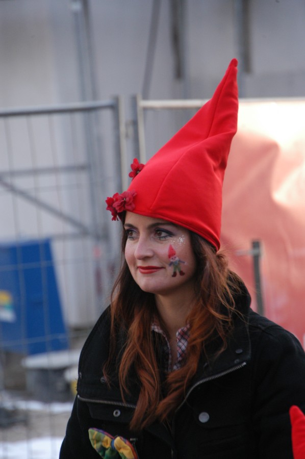 Foto Karnevalszug 2013