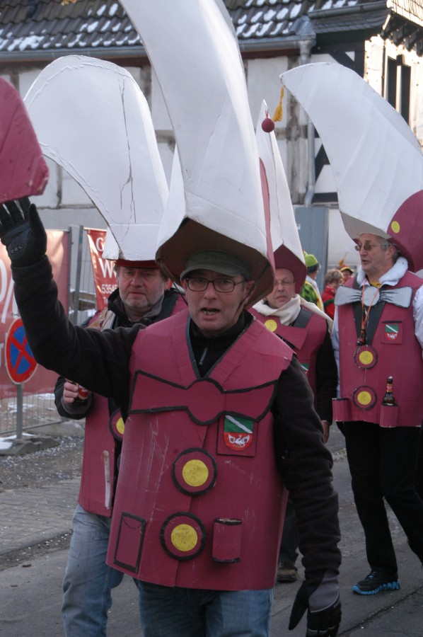 Foto Karnevalszug 2013