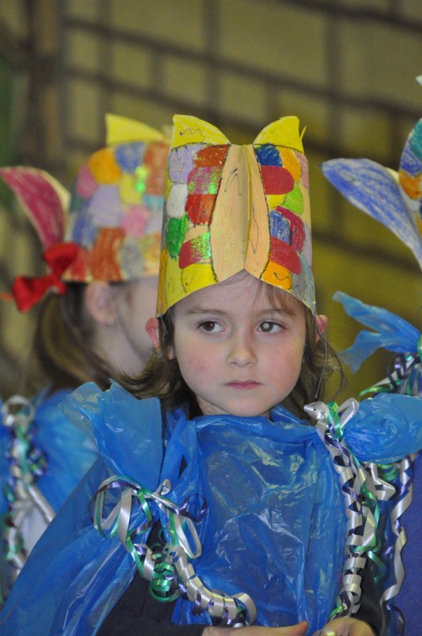 Foto Seniorenkarneval 2014