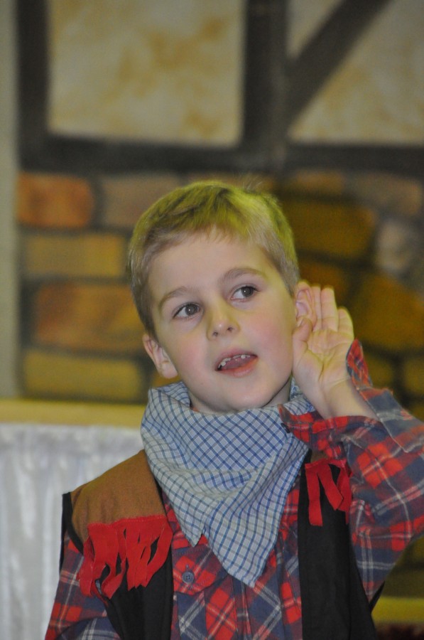 Foto Seniorenkarneval 2014