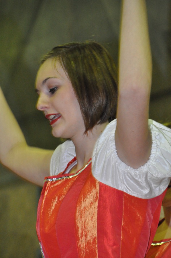 Foto Seniorenkarneval 2014