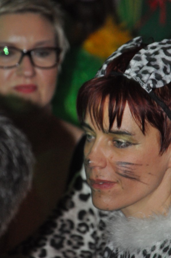 Foto Kost�mball 2014