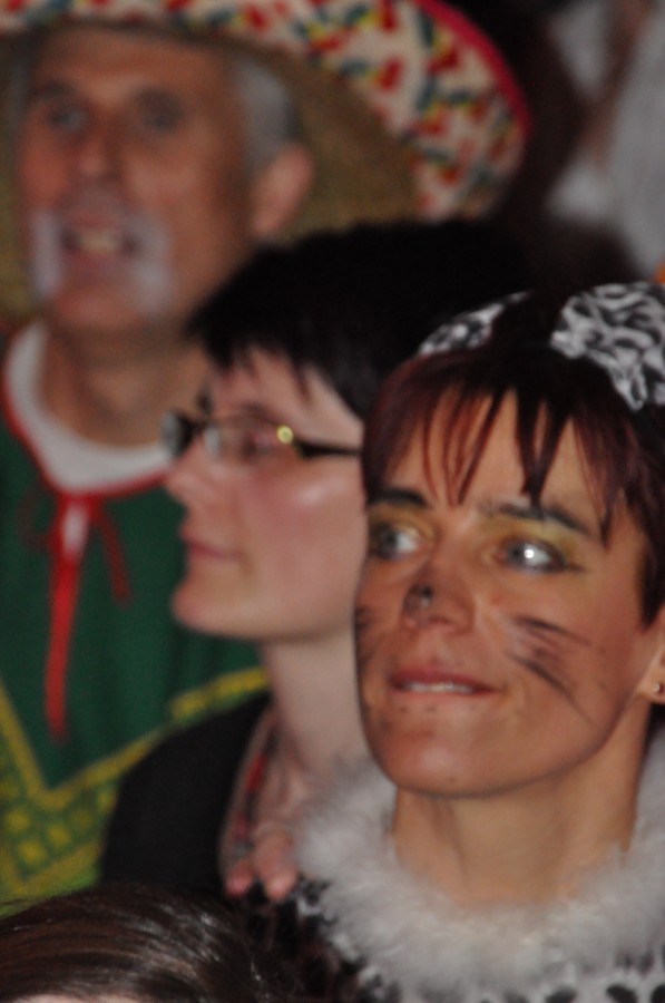 Foto Kost�mball 2014