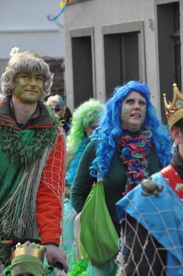 Foto Karnevalszug 2014