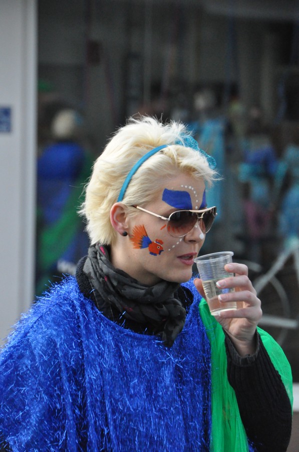 Foto Karnevalszug 2014