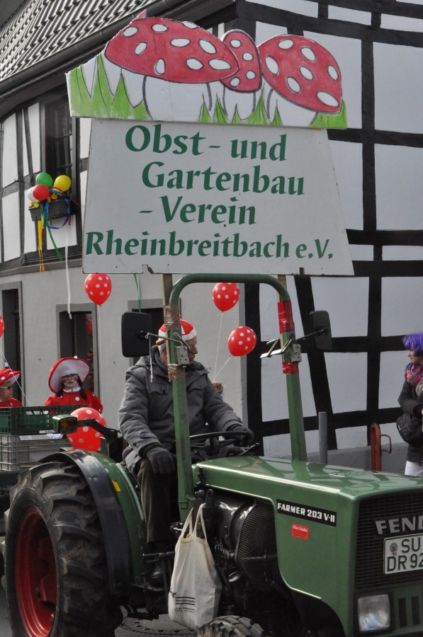 Foto Karnevalszug 2014