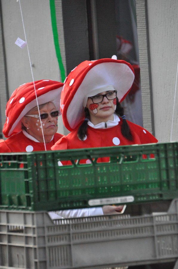 Foto Karnevalszug 2014