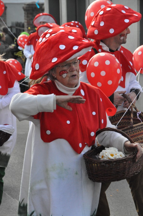 Foto Karnevalszug 2014