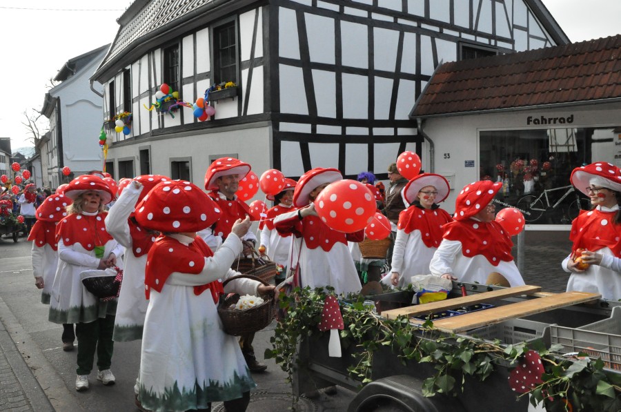 Foto Karnevalszug 2014