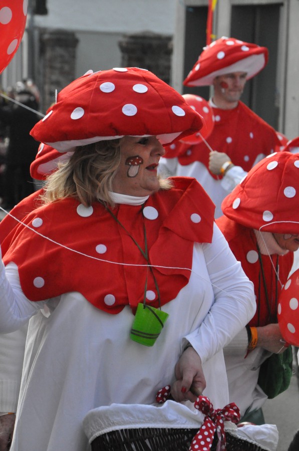 Foto Karnevalszug 2014