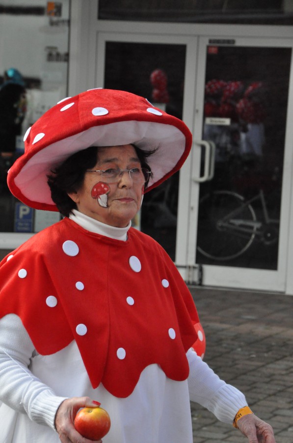 Foto Karnevalszug 2014