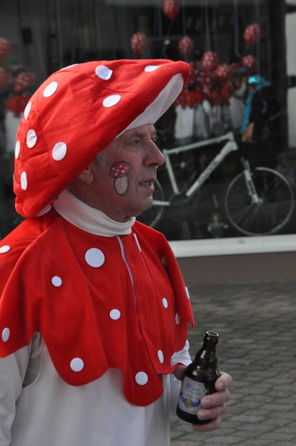 Foto Karnevalszug 2014