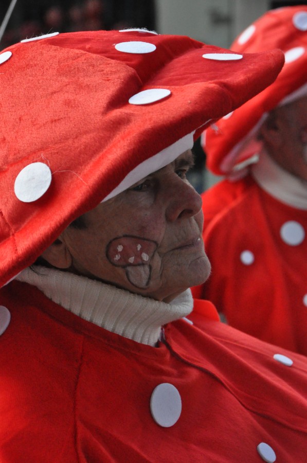 Foto Karnevalszug 2014