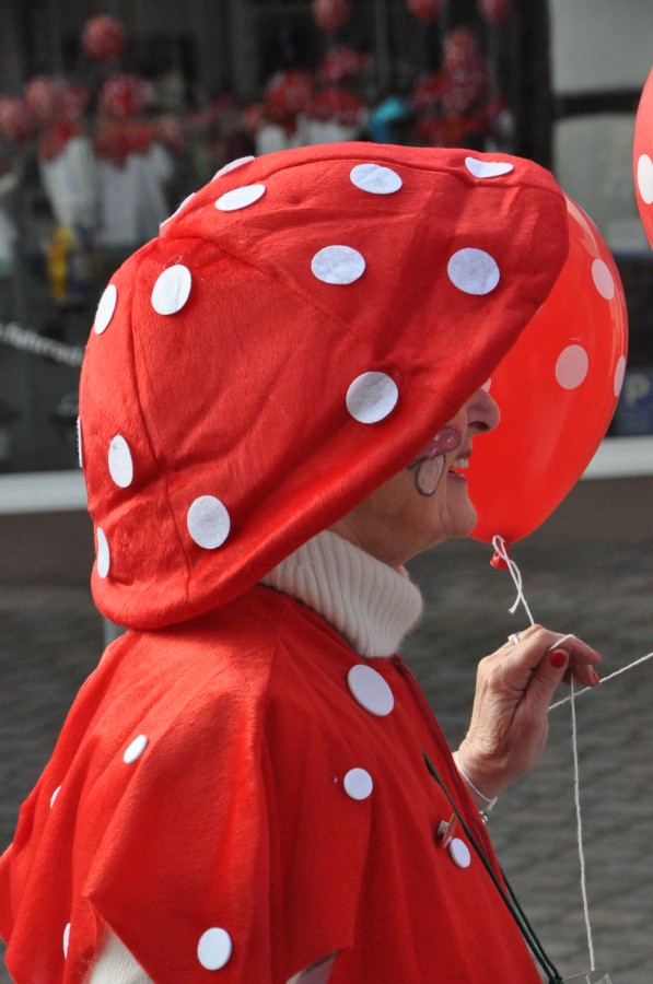 Foto Karnevalszug 2014