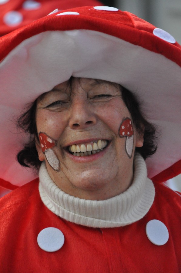Foto Karnevalszug 2014