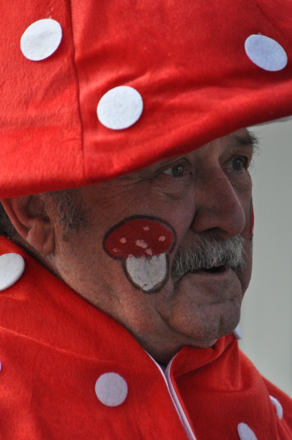 Foto Karnevalszug 2014