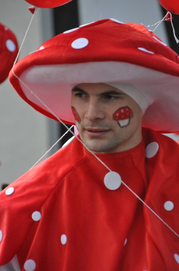 Foto Karnevalszug 2014