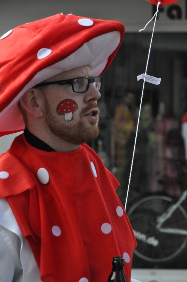 Foto Karnevalszug 2014