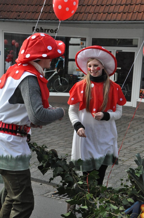 Foto Karnevalszug 2014