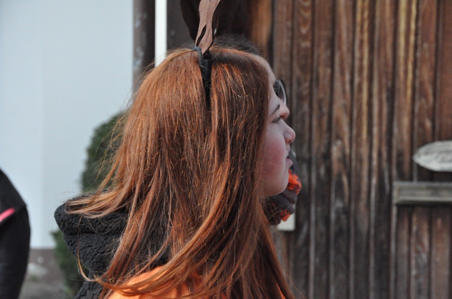 Foto Karnevalszug 2014