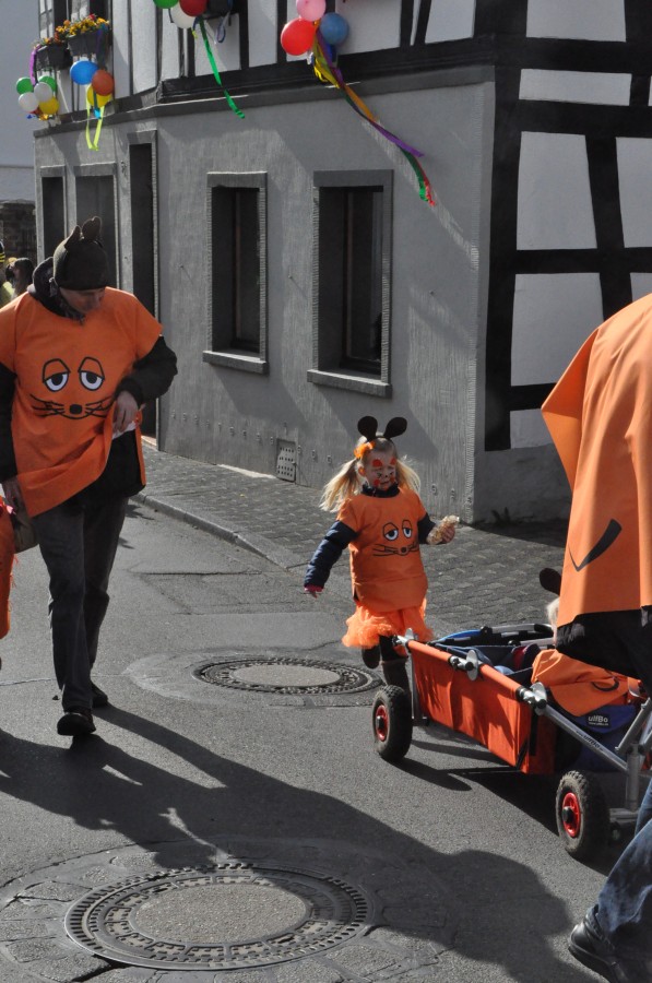 Foto Karnevalszug 2014