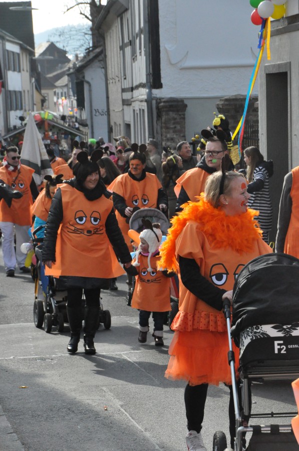 Foto Karnevalszug 2014